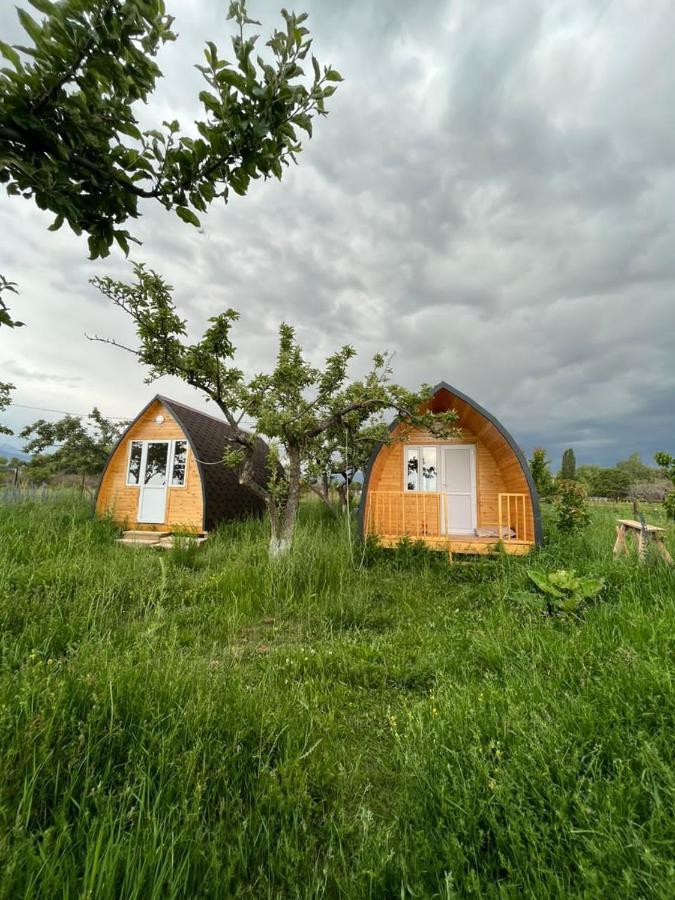 فندق Bosogo Yurt Camp Bokonbayevo المظهر الخارجي الصورة